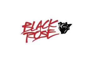 Black Rose - Fast Times at Black Rose High (EP) (Logo)